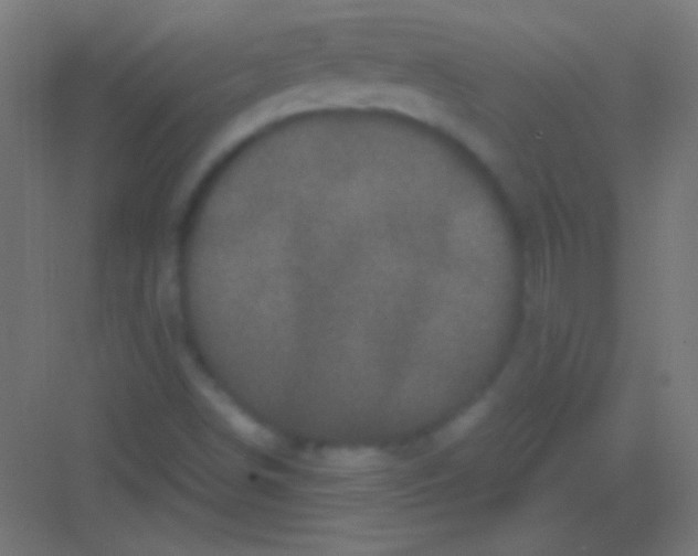 X0000081351498200702082241