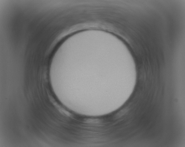 X0000081351499200702082241