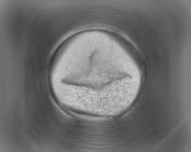 X0000081351500200702082241