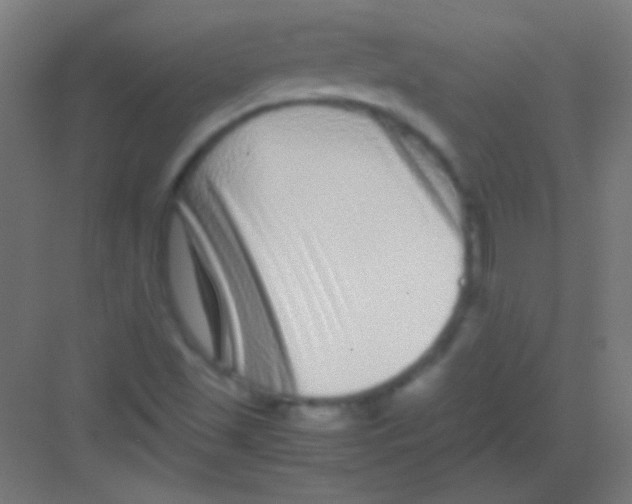 X0000081351501200702082241