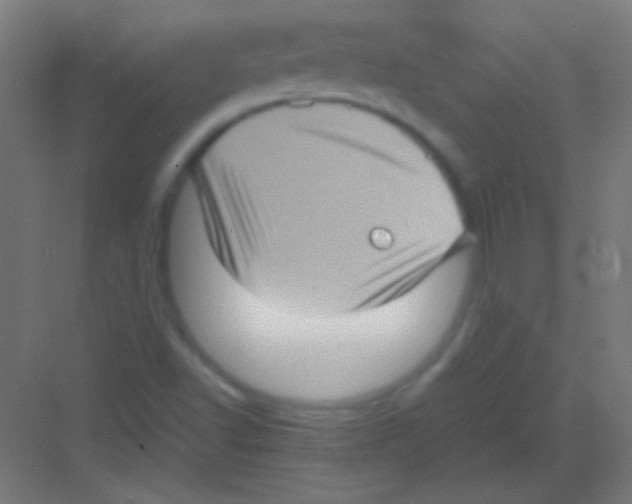 X0000081351502200702082241