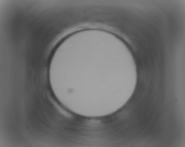 X0000081351503200702082241