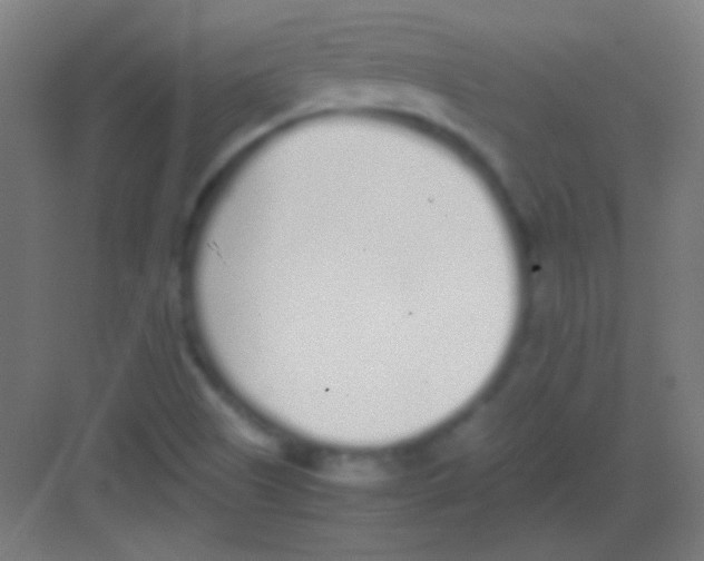 X0000081351505200702082241