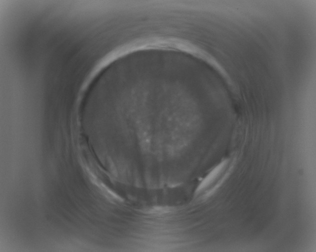 X0000081351506200702082241