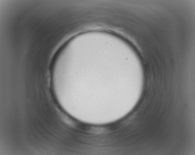 X0000081351509200702082241