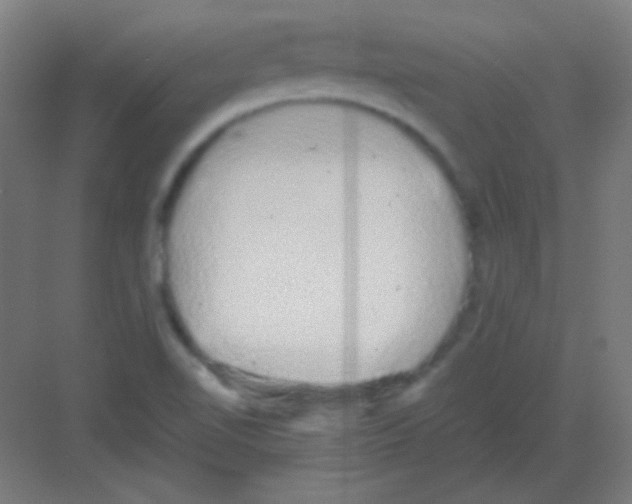 X0000081351510200702082241