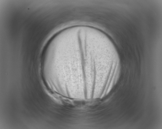 X0000081351511200702082241