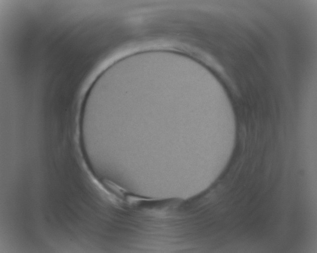 X0000081351512200702082241