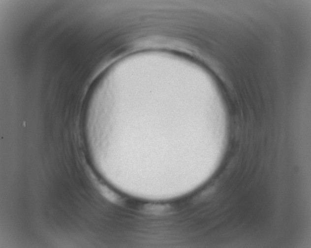 X0000081351513200702082241