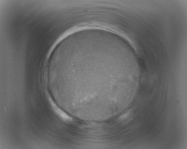 X0000081351514200702082241