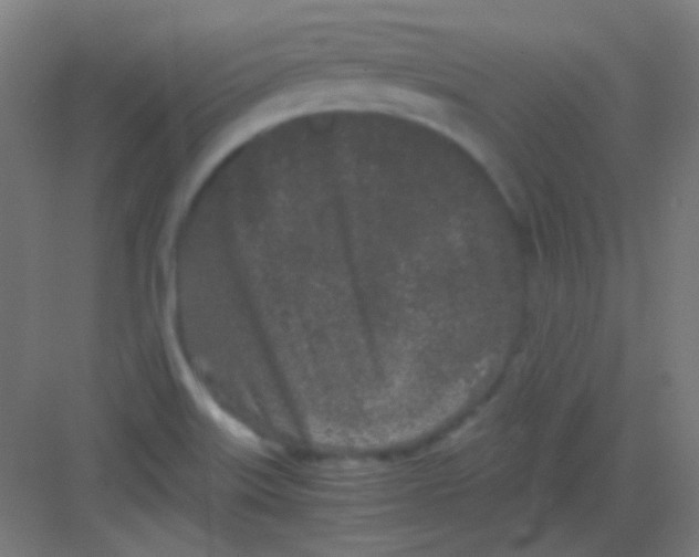 X0000081351515200702082241