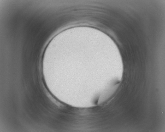 X0000081351516200702082241