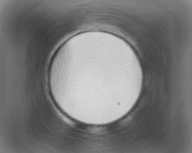 X0000081351517200702082241