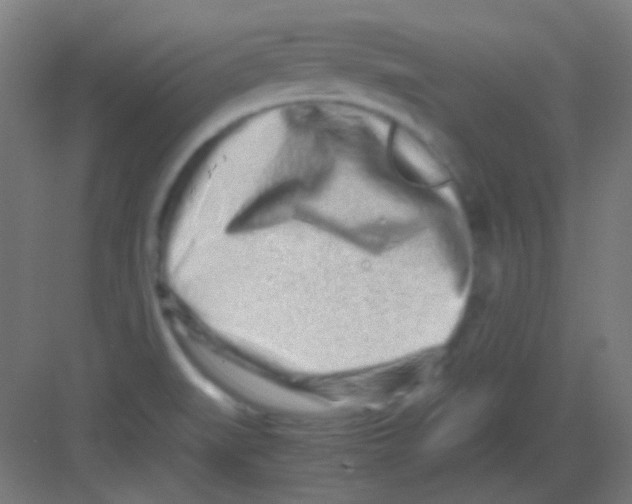 X0000081351519200702082241