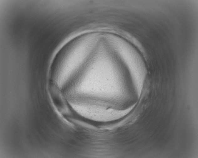 X0000081351520200702082241