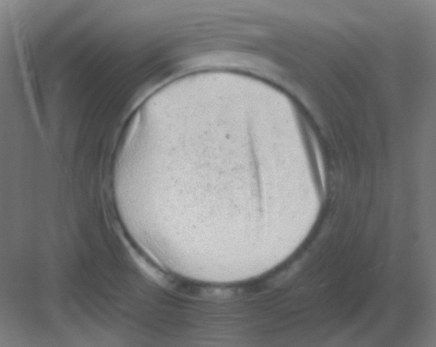 X0000081351521200702082241