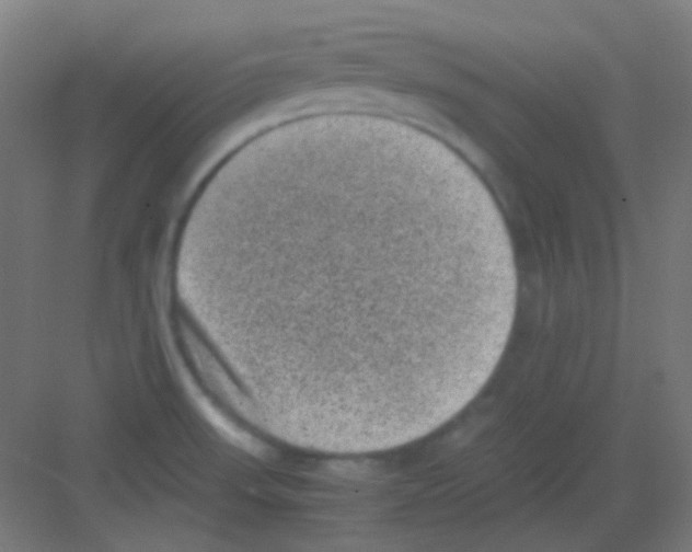 X0000081351523200702082241