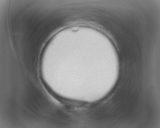 X0000081351525200702082241