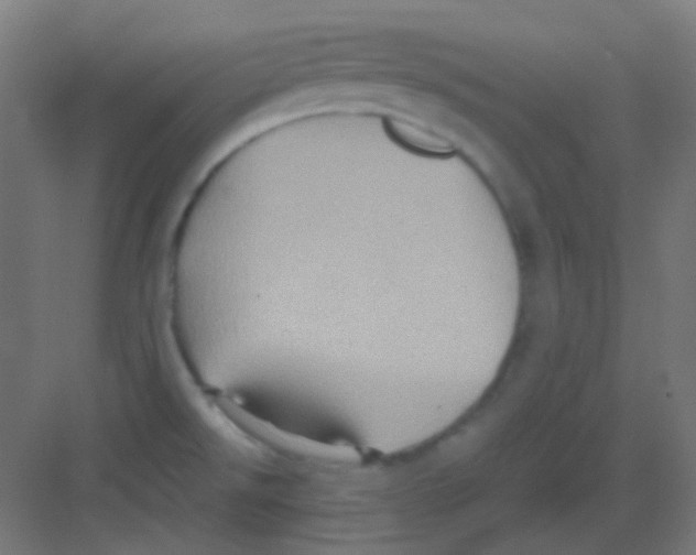 X0000081351526200702082241