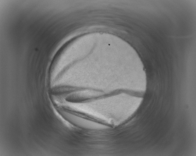 X0000081351527200702082241