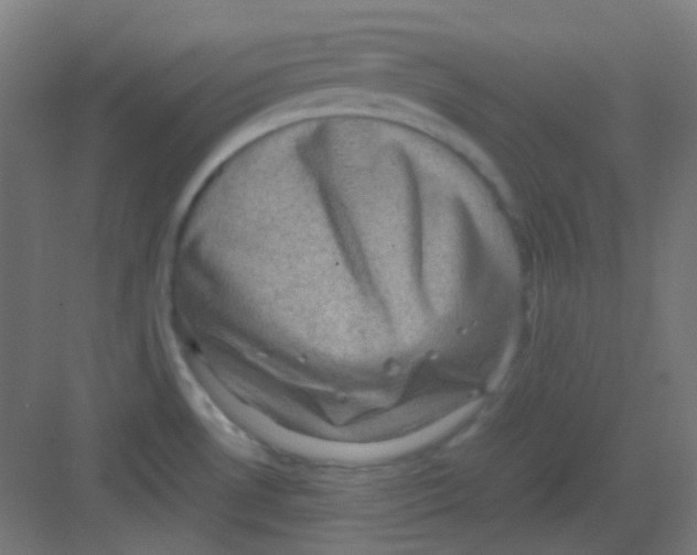 X0000081351530200702082241