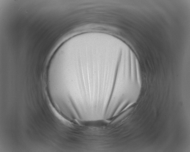 X0000081351531200702082241