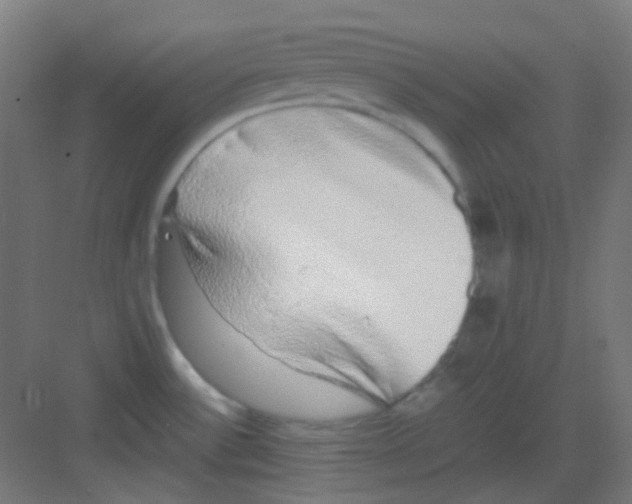 X0000081351532200702082241