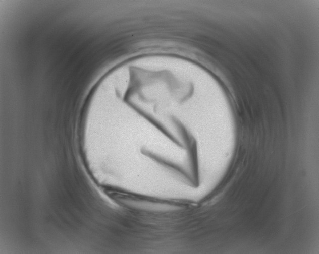 X0000081351533200702082241