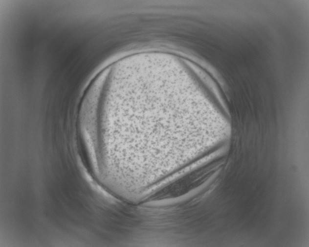 X0000081351534200702082241