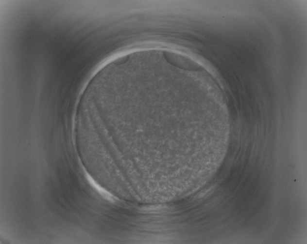 X0000081351535200702082241