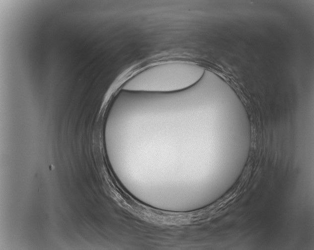 X0000081360004200701111145