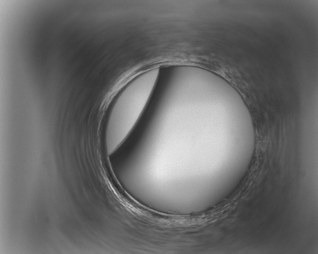 X0000081360005200701111145