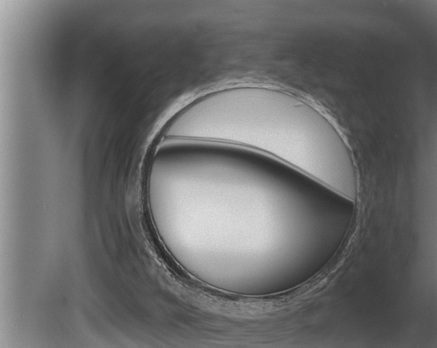 X0000081360008200701111144