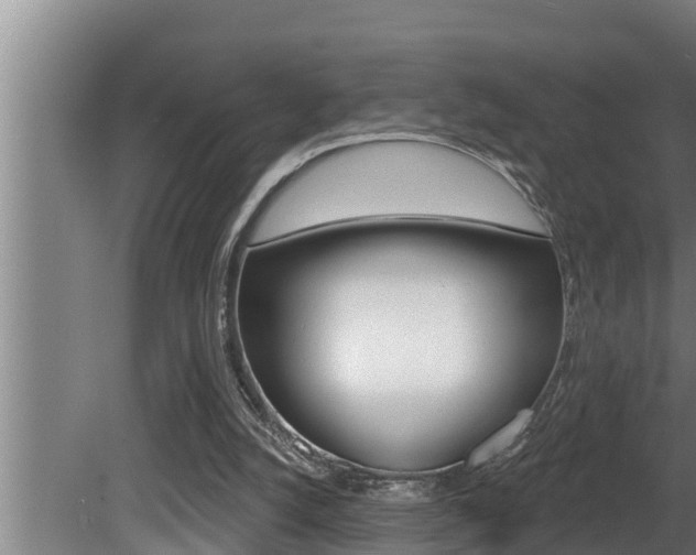 X0000081360056200701111143