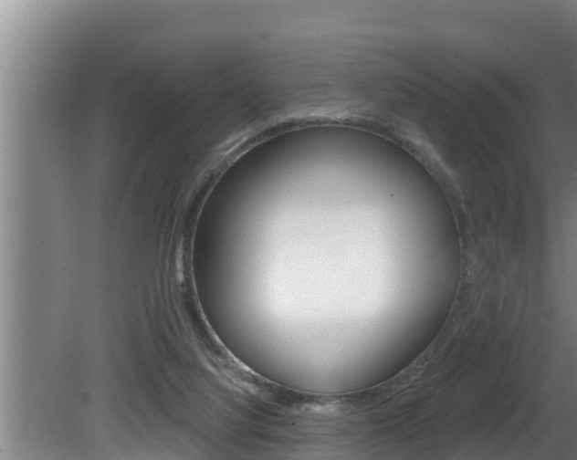 X0000081360068200701111143