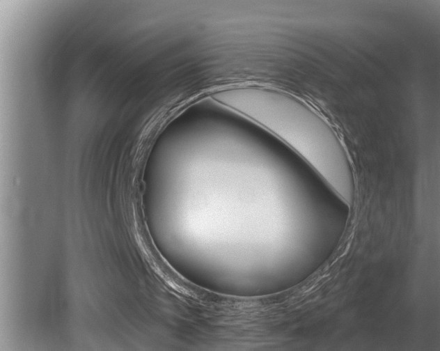 X0000081360097200701111143