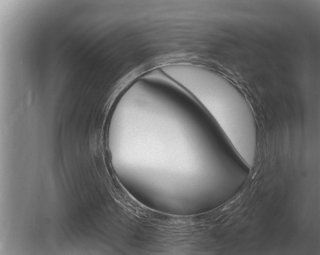 X0000081360099200701111143