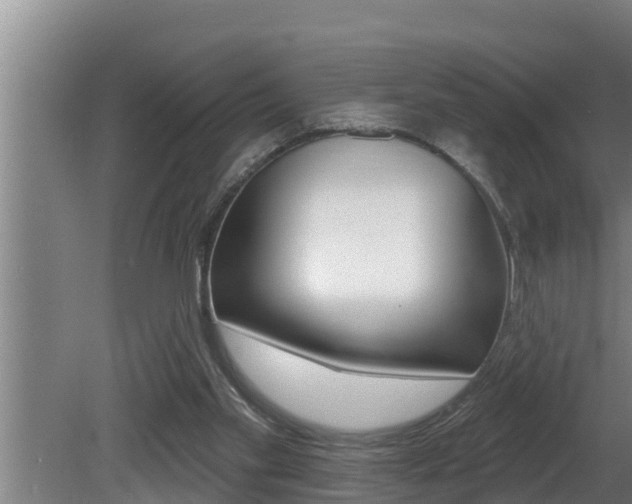 X0000081360109200701111143