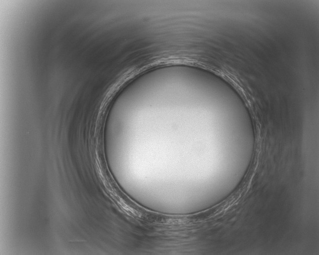 X0000081360145200701111141