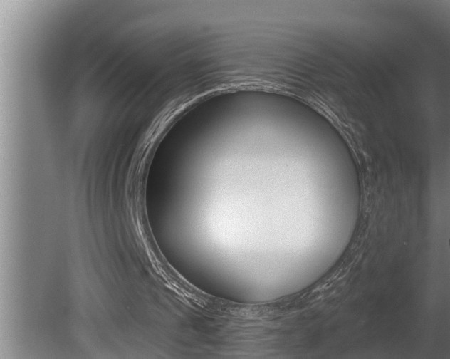 X0000081360241200701111140