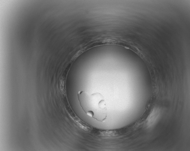 X0000081360281200701111140