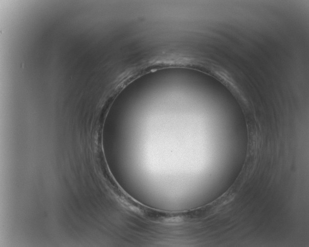 X0000081360309200701111139