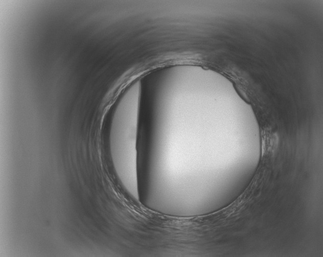 X0000081360339200701111138