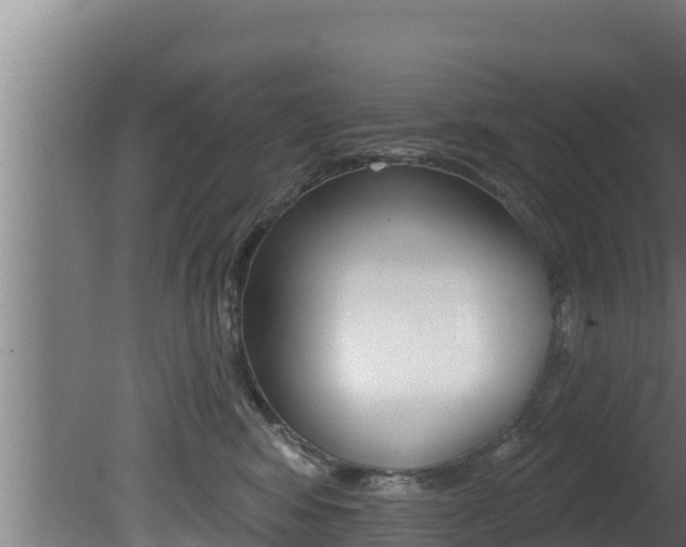 X0000081360424200701111137