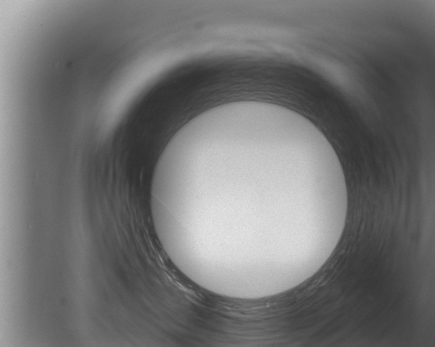 X0000081360431200701111137
