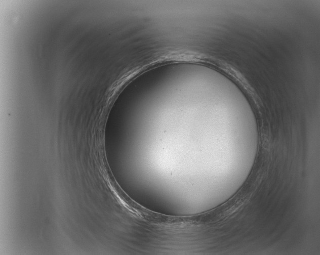 X0000081360433200701111136
