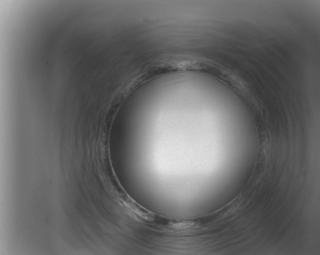X0000081360461200701111137