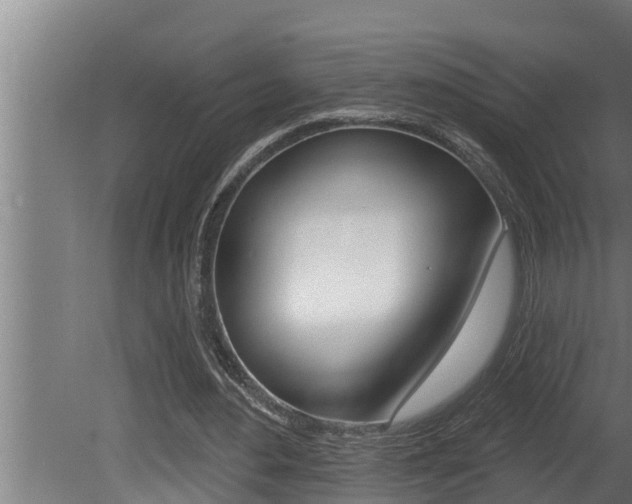 X0000081360484200701111136