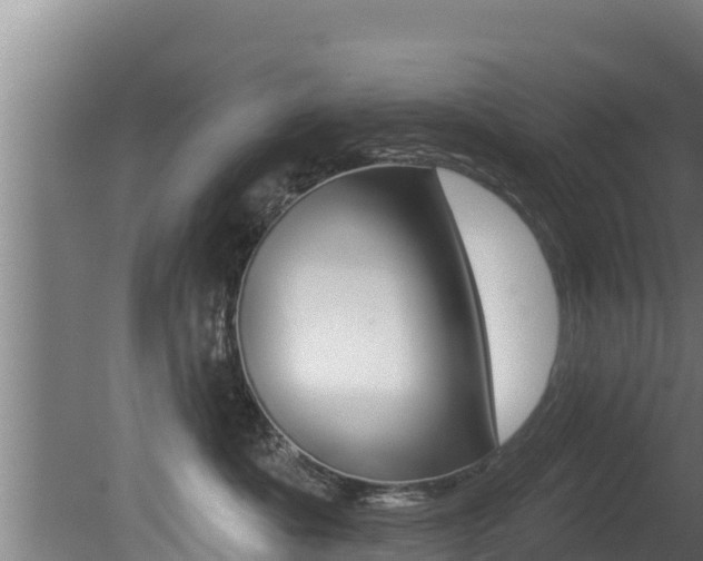 X0000081360525200701111136