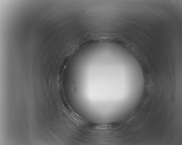 X0000081360563200701111135
